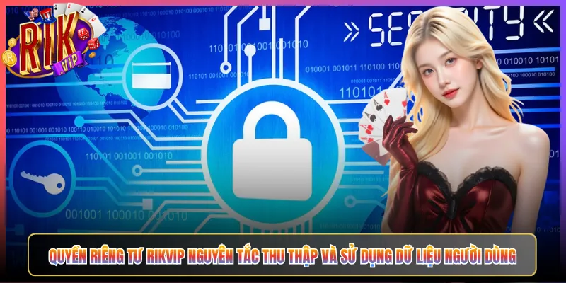 Quyền Riêng Tư Rikvip Nguyên Tắc Thu Thập Và Sử Dụng Dữ Liệu Người Dùng