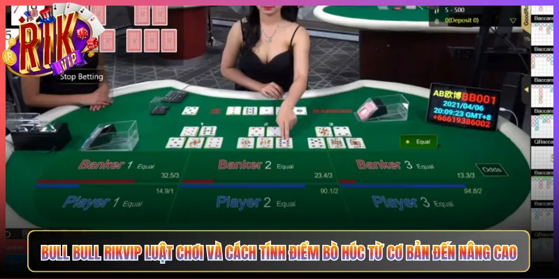 Bull Bull Rikvip Luật Chơi Và Cách Tính Điểm Bò Húc Từ Cơ Bản Đến Nâng Cao