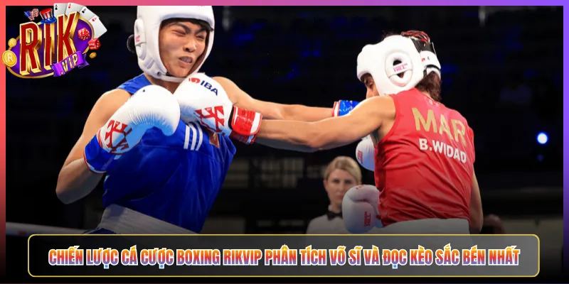 Chiến Lược Cá Cược Boxing Rikvip Phân Tích Võ Sĩ Và Đọc Kèo Sắc Bén Nhất