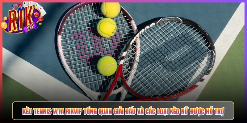 Kèo Tennis WTA Rikvip Tổng Quan Giải Đấu Và Các Loại Kèo Nữ Được Hỗ Trợ